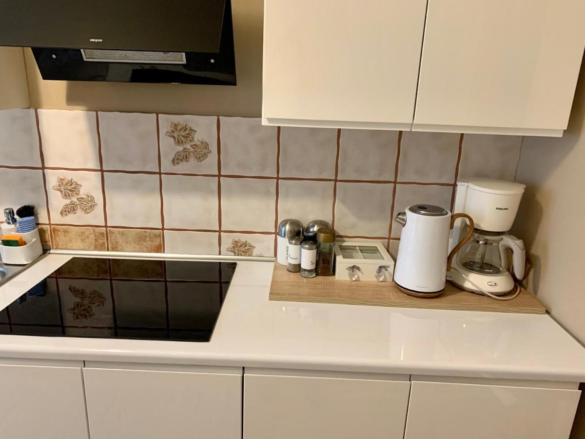 Apartament Joanna Parter Blisko Onkologii I Strefy Ekonomicznej Hlivice Exteriér fotografie