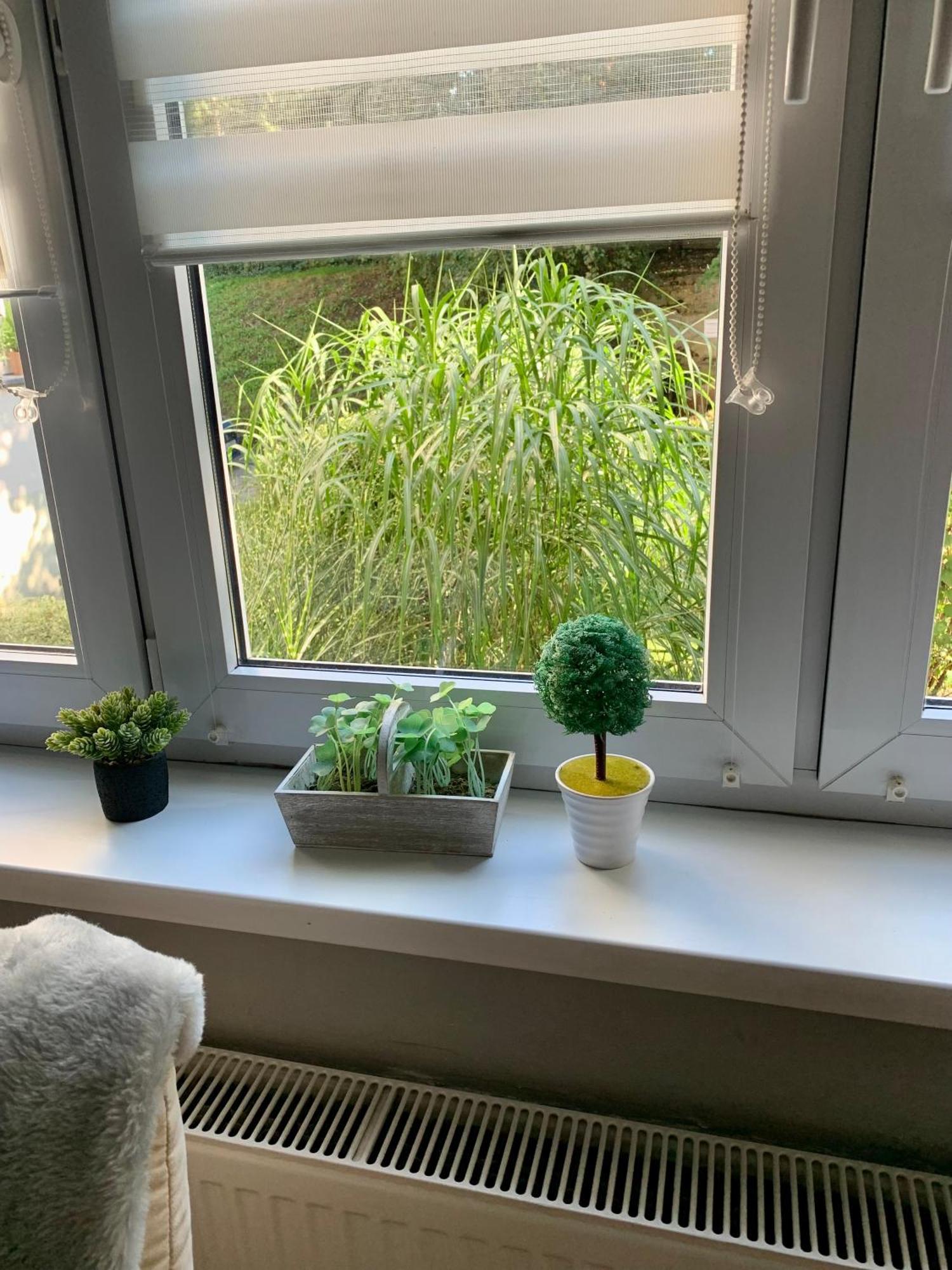 Apartament Joanna Parter Blisko Onkologii I Strefy Ekonomicznej Hlivice Exteriér fotografie